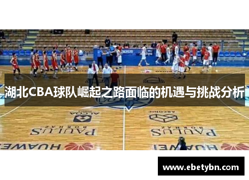 湖北CBA球队崛起之路面临的机遇与挑战分析